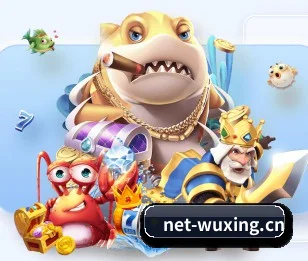 全流程比赛陪伴, 观赛有依据